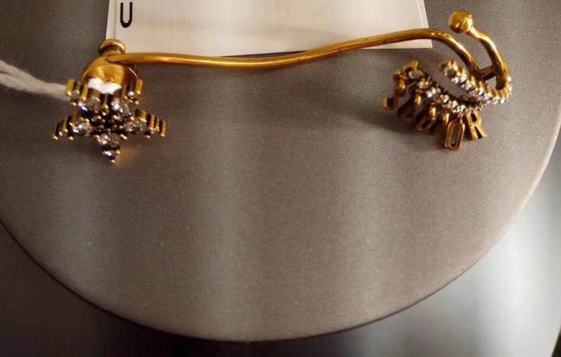 Dior Earring 04lyr325